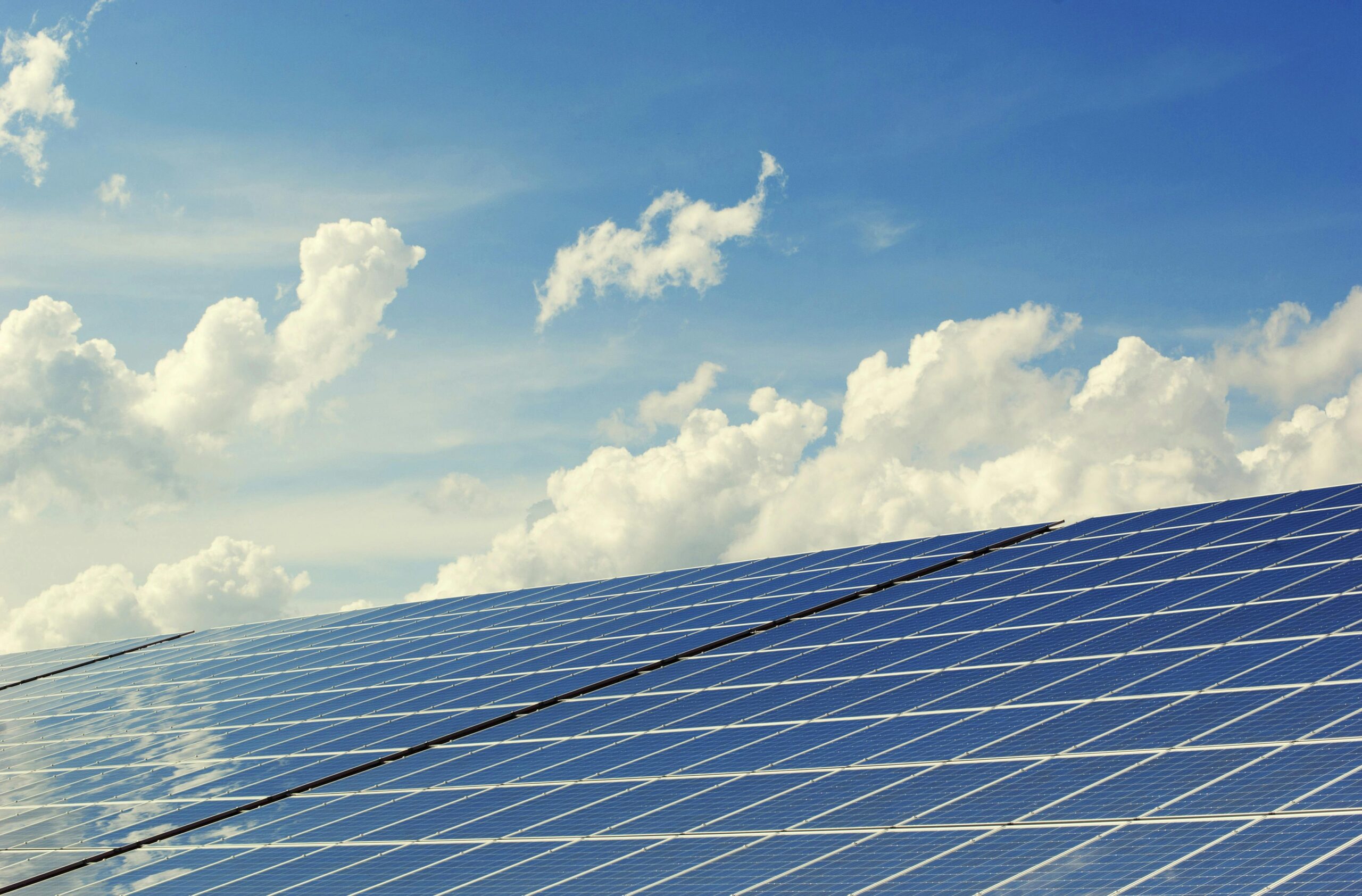Reality Check for Gen Z: ‘Green’ Energy Requires Wealth
